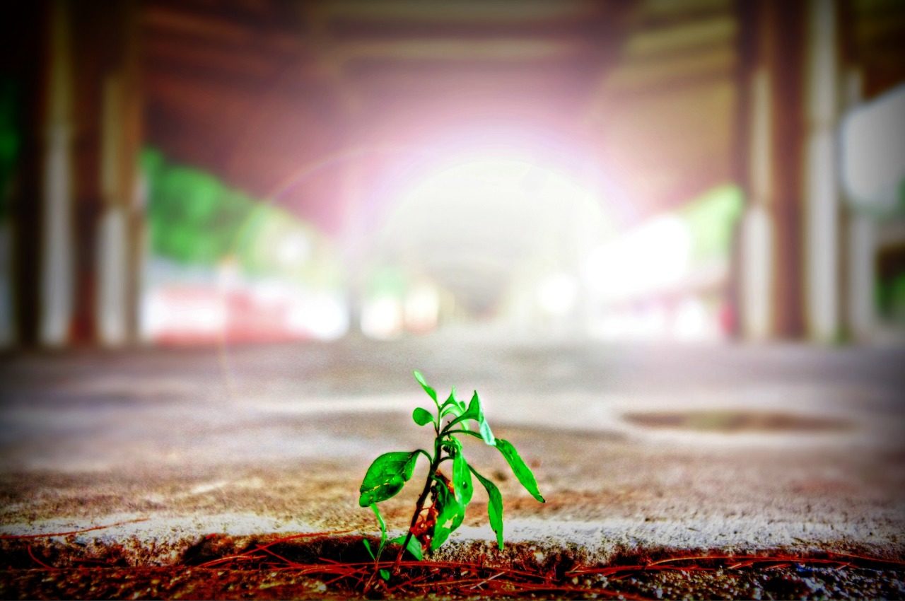 ISO 14001 System Zarządzania Środowiskiem